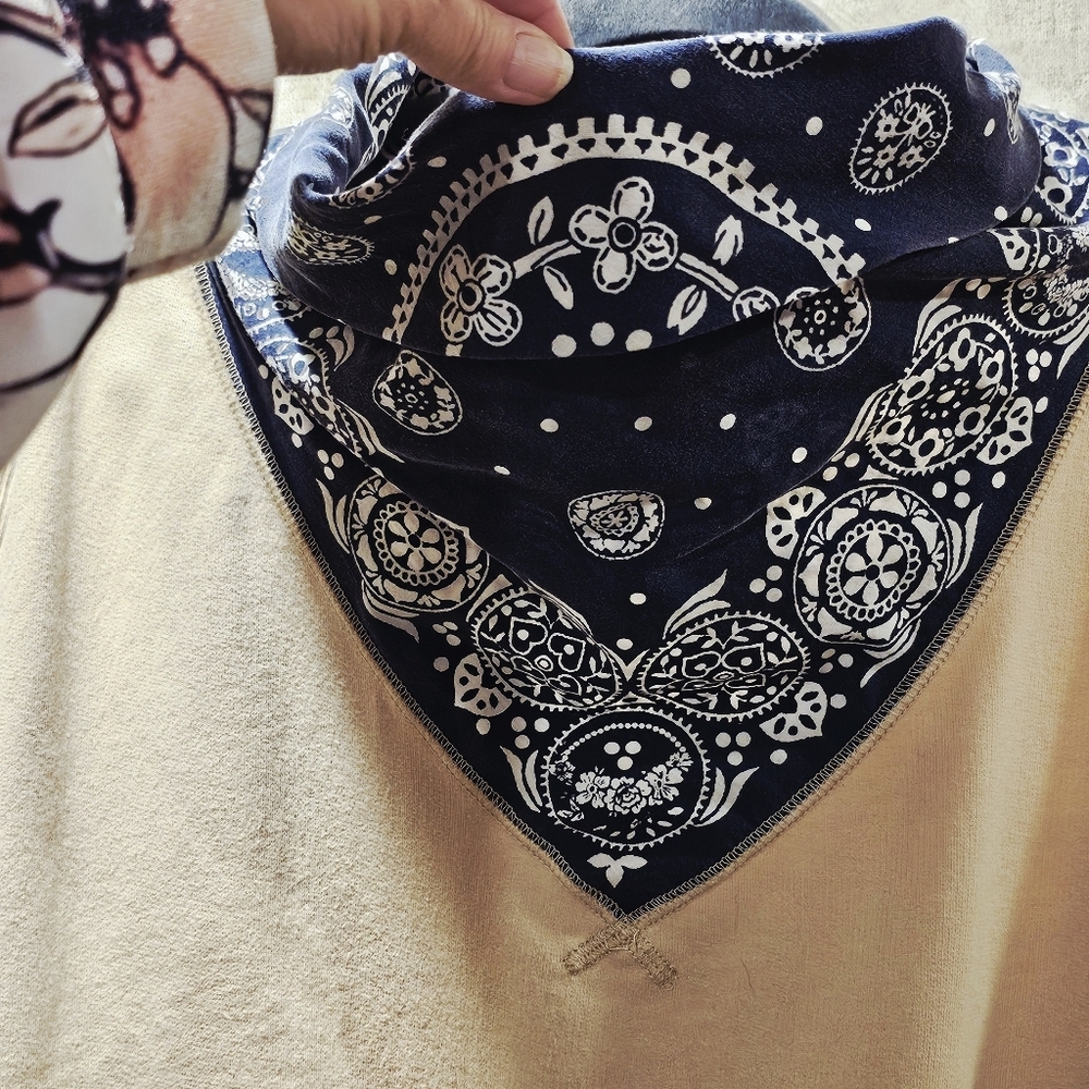 Free People James Bandana Slouchy Sweatshirt - Picture 4 of 7